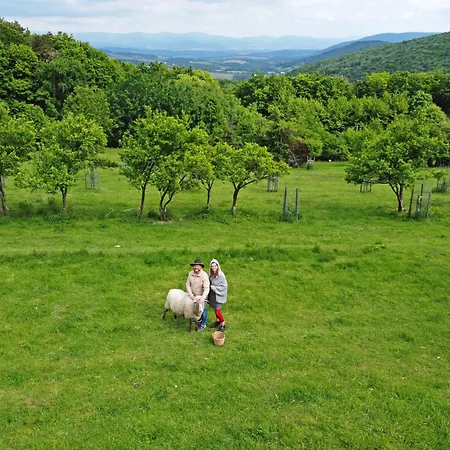 Sad U Harustakov Apartment