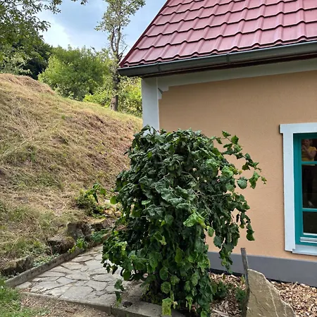 Sad U Harustakov * Lubina