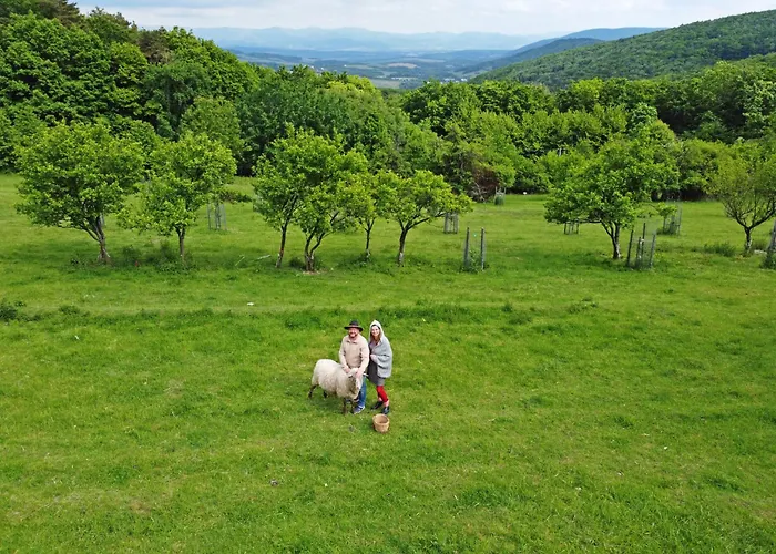 Sad U Harustakov 公寓