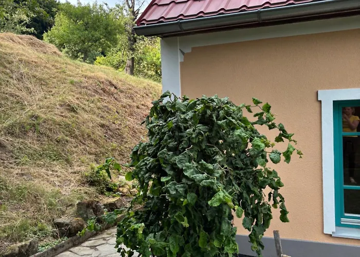 Sad U Harustakov * Lubina